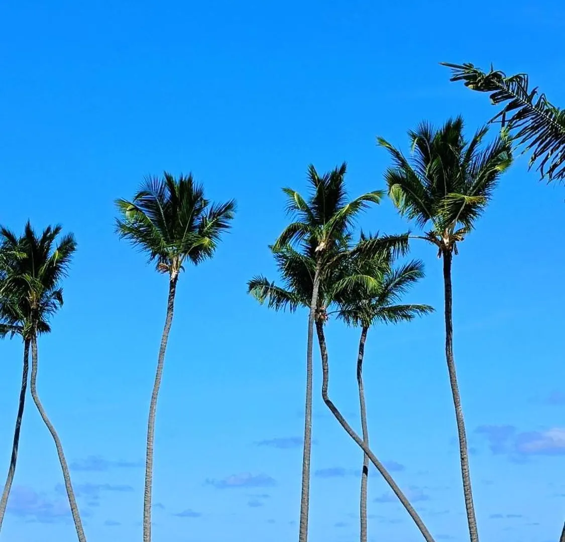 Flor Del Mar Condo Punta Cana Beachfront جمهورية الدومينيكان